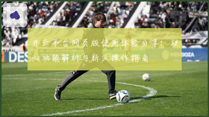 开云平台网页版使用体验分享：核心功能解析与新人操作指南