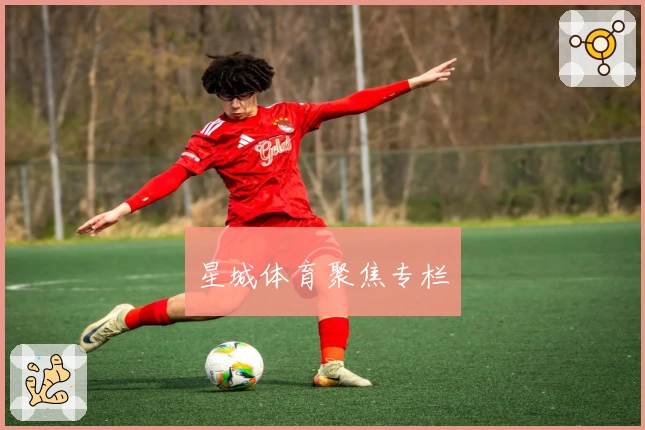 星城体育聚焦专栏