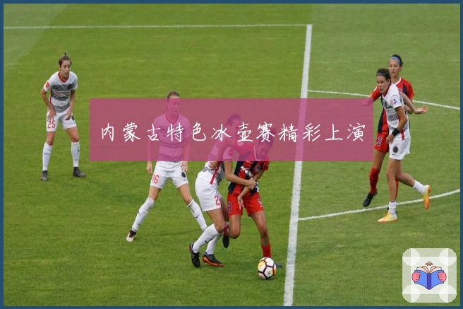 内蒙古特色冰壶赛精彩上演