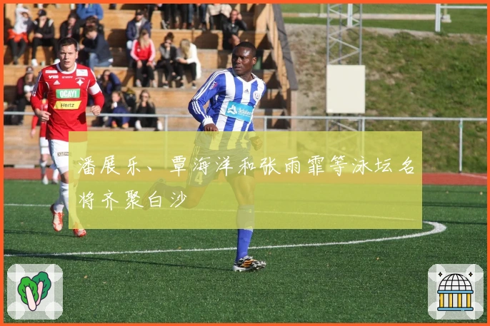 潘展乐、覃海洋和张雨霏等泳坛名将齐聚白沙